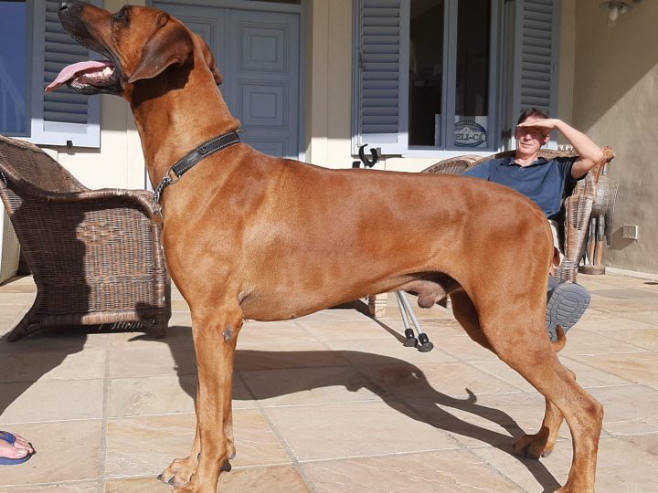 Karoskloof SP Everest