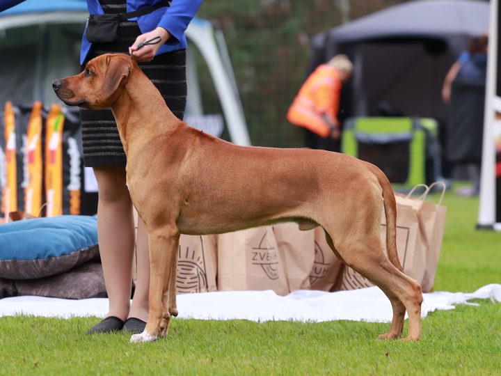 Caiden Kili Gaudiwa Musana