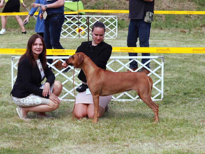 Cara Ravenna Gaudiwa Musana