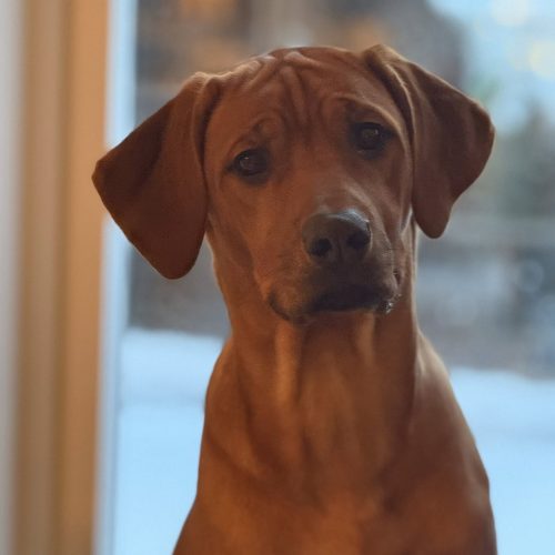 Moses almost 7 months