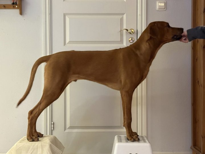 Moses almost 7 months