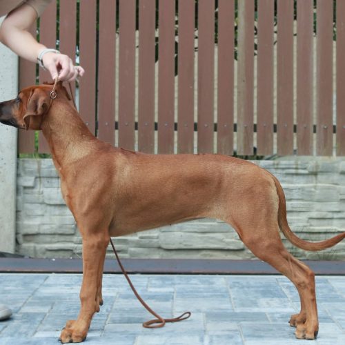 Vicky 4,5 months