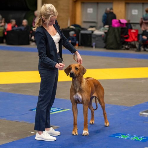 Juni 1 year, photo: Jakke Röntynen