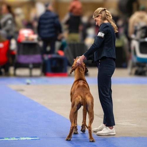 Juni 1 year, photo: Jakke Röntynen