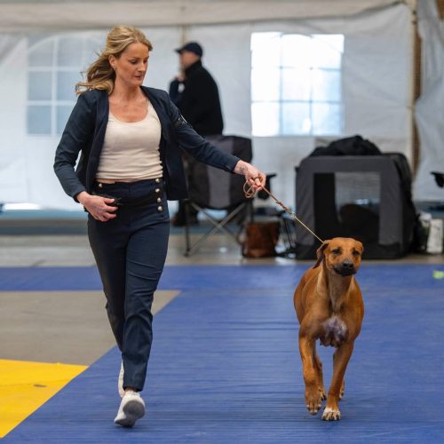 Juni 1 year, photo: Jakke Röntynen