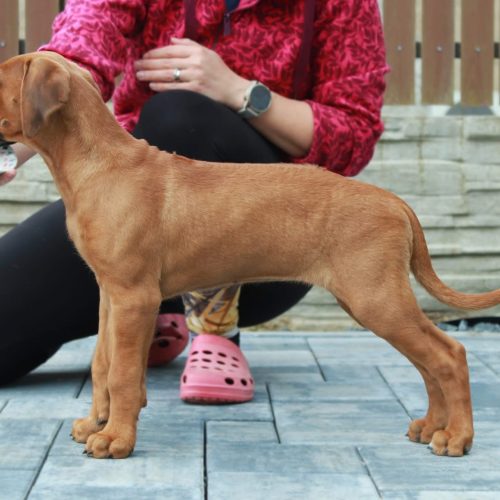 Vicky 10 weeks