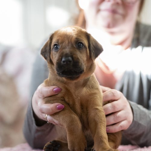Mr Green 4 weeks