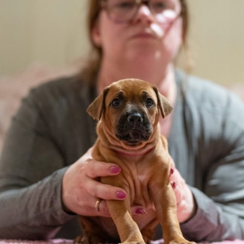 Ms Magenta 4 weeks