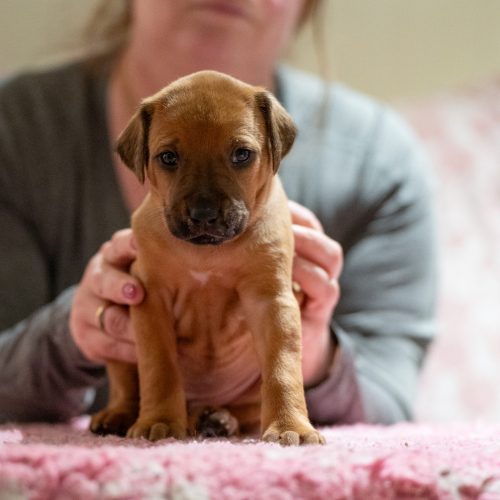 Ms Black 4 weeks