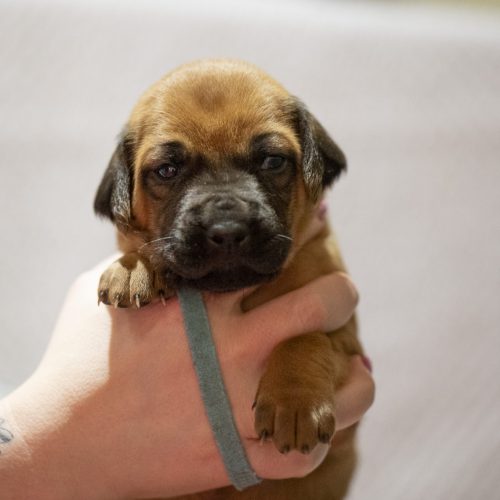 Ms Turquoise 3 weeks