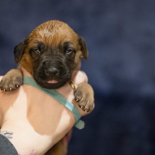 Ms Turquoise 2 weeks